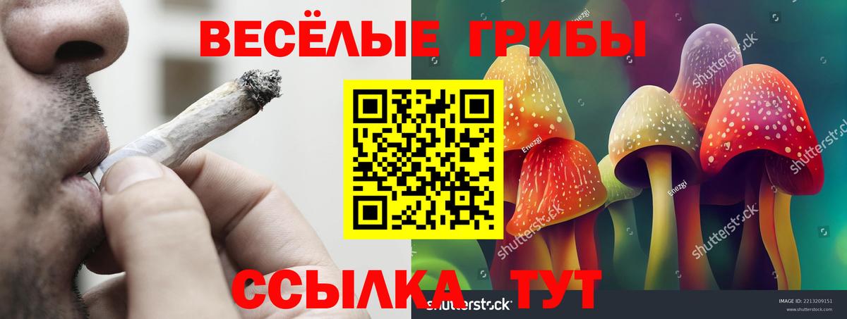 Псилоцибиновые грибы Magic Shrooms  Галлюциногенные грибы Magic Shrooms  Вход с VPN  Барнаул 